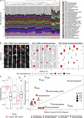 Stochastic Dispersal Rather Than Deterministic Selection Explains the Spatio-Temporal Distribution of Soil Bacteria in a Temperate Grassland